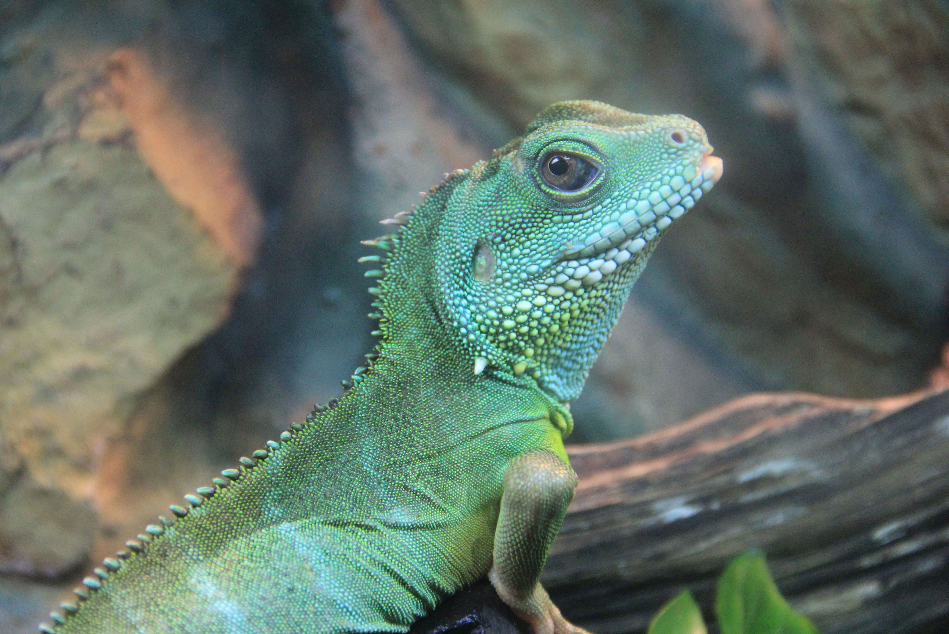 三等奖 专注的猎手-集团总部-宋俊和