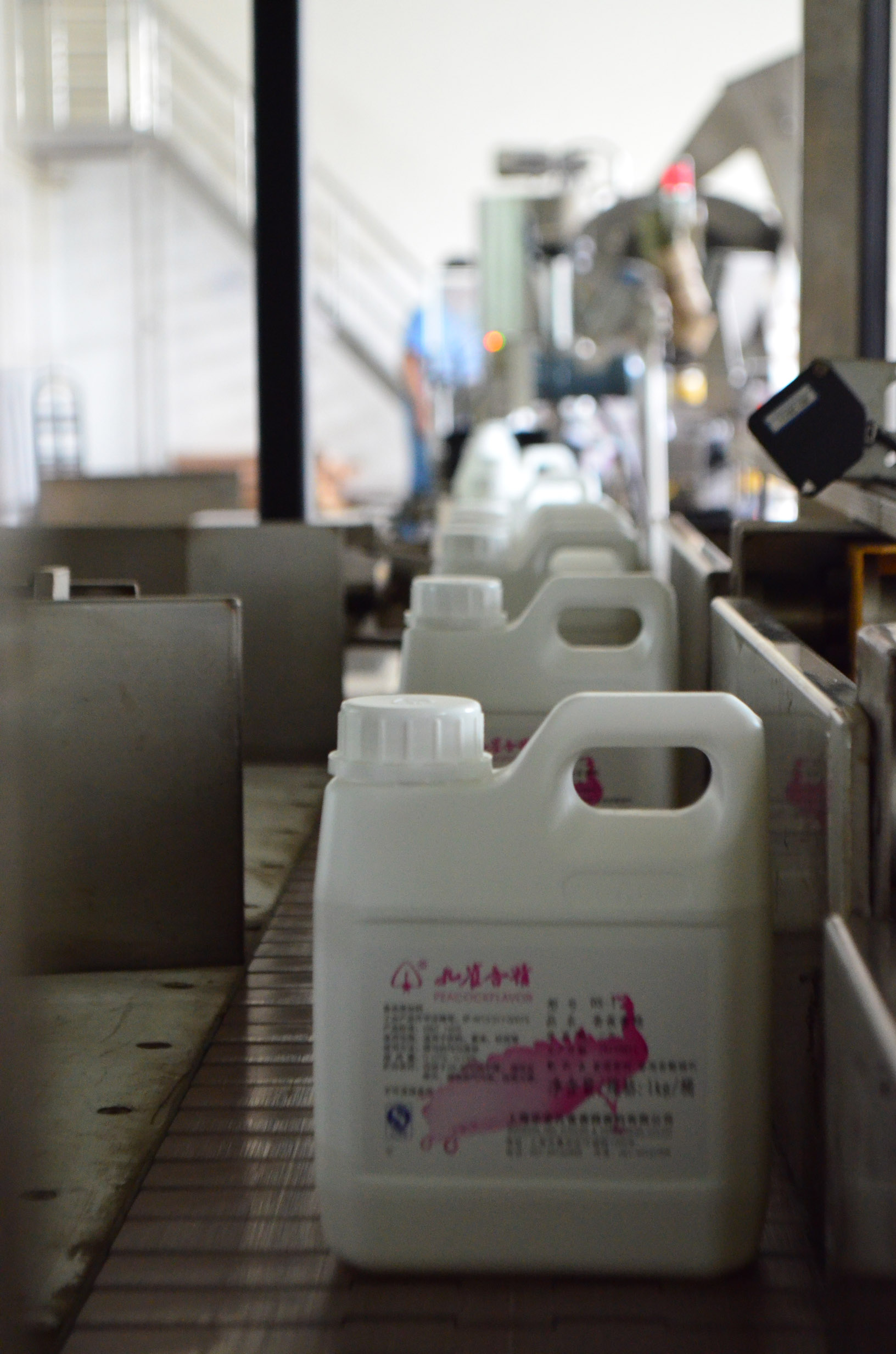 二等奖 孔雀-集团总部-庞婕婕