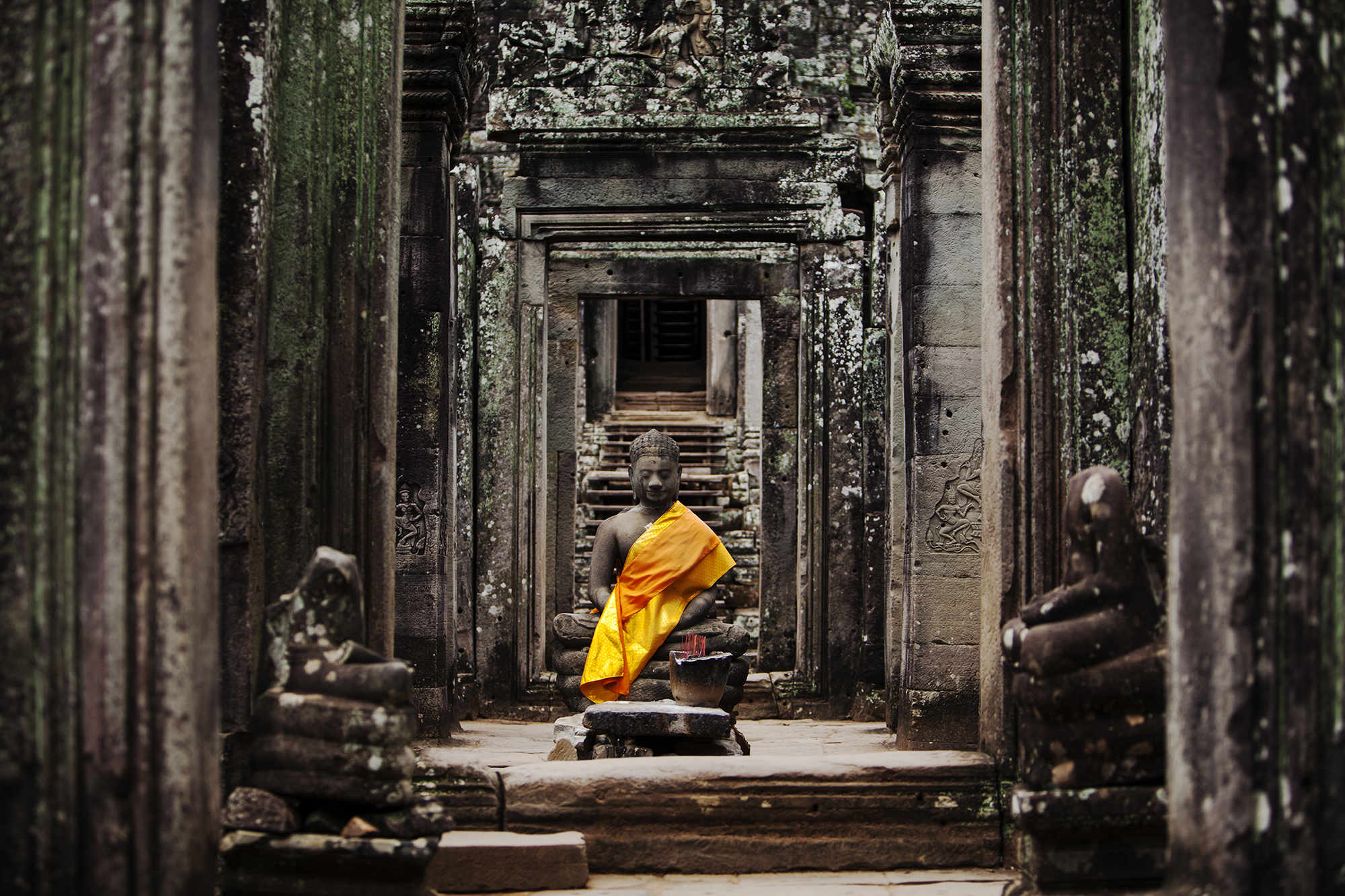 一等奖-生物科技-范馨雷 在一切净土之上