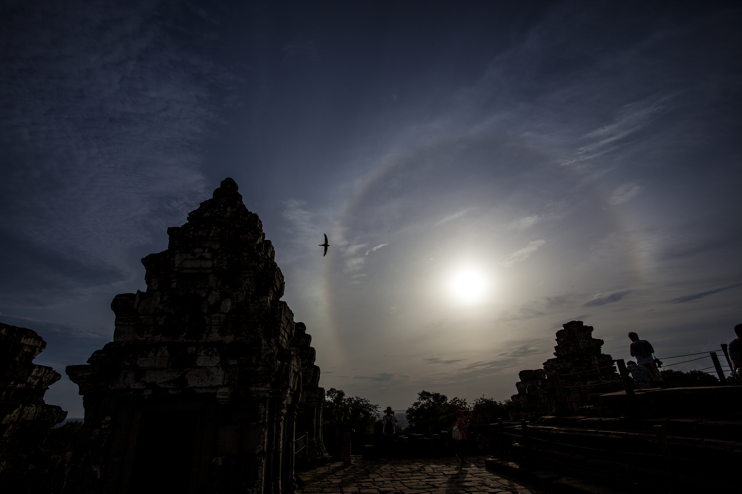 一等奖-生物科技-范馨雷 无言地让灵魂接近太阳