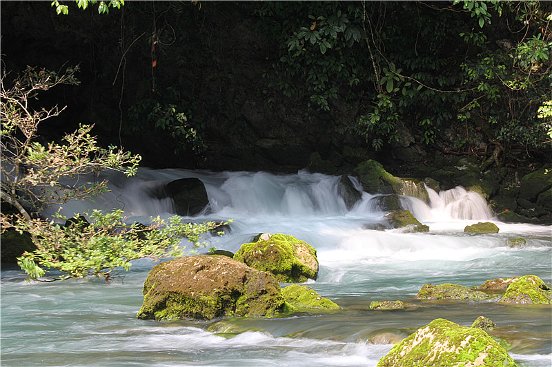 二等奖-集团总部-余雪松 荔波水森林