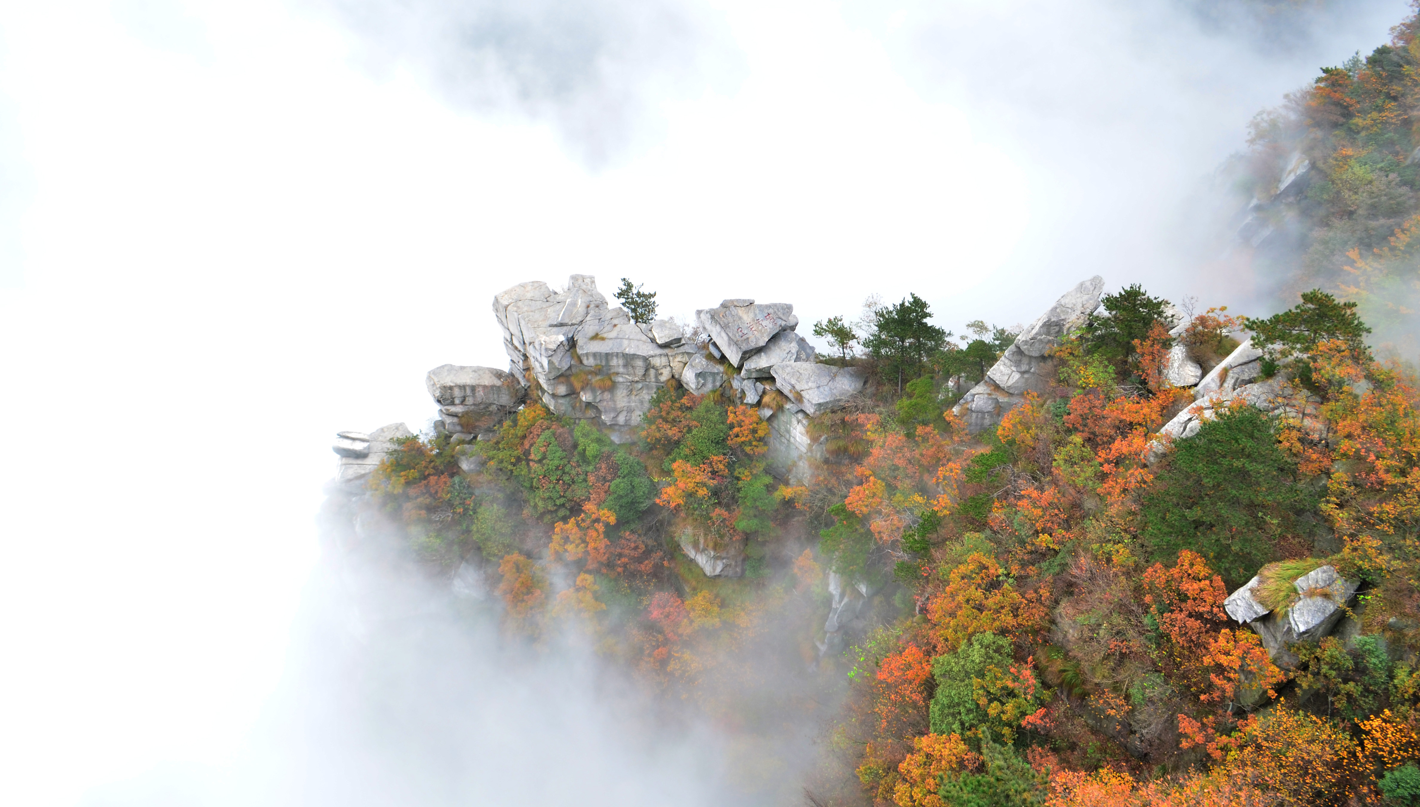 三等奖-集团总部-庞婕婕 深秋•迷雾