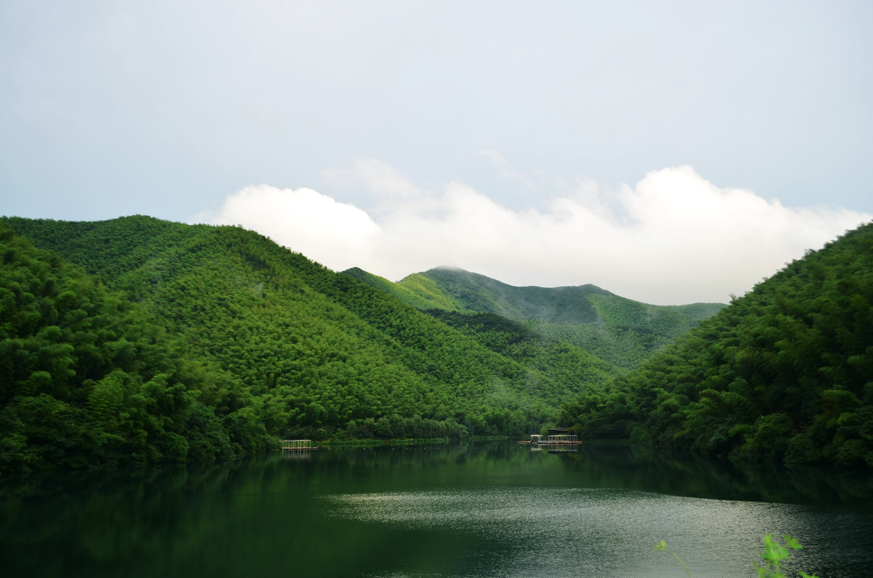 三等奖-集团总部-庞婕婕 盛夏•生命的律动