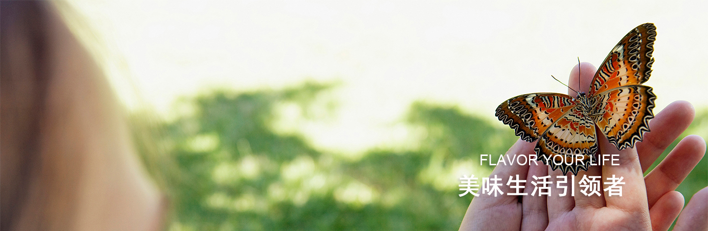 美味生活引领者